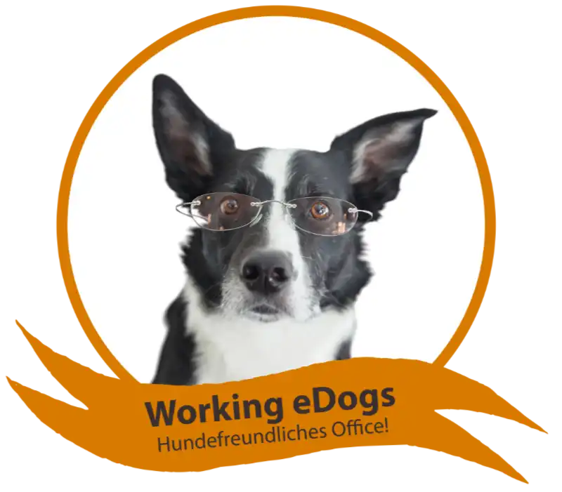 Hund mit Brille – Symbol für hundefreundliches Arbeiten bei eDok